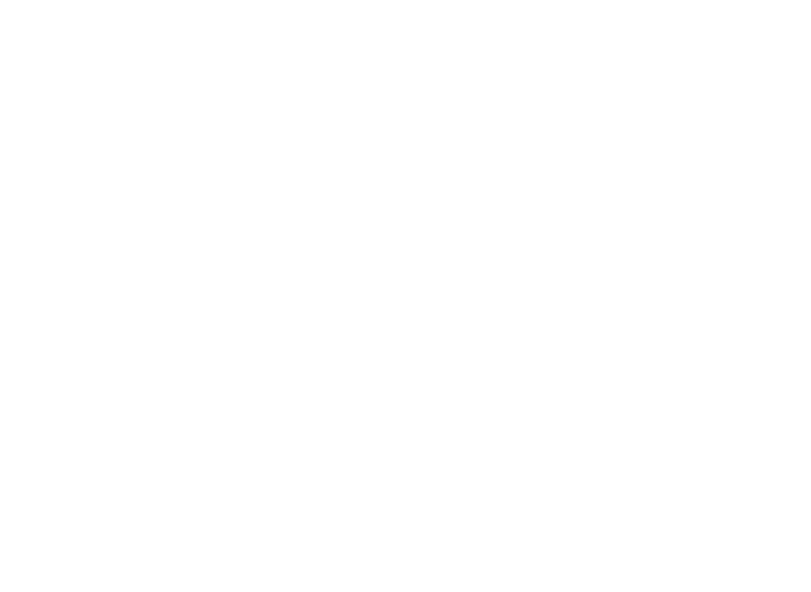 Sons of Liberty Gun Works